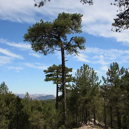 Rural Montana De Cazorla