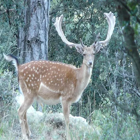Rural Montana De Cazorla 4*